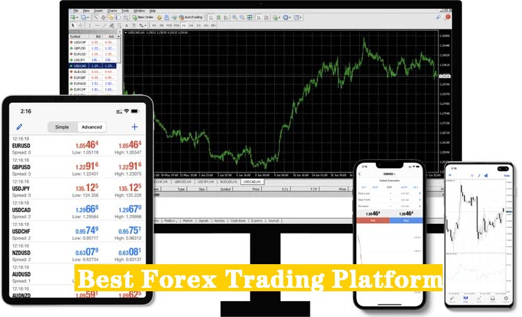 Best Forex Trading Platform